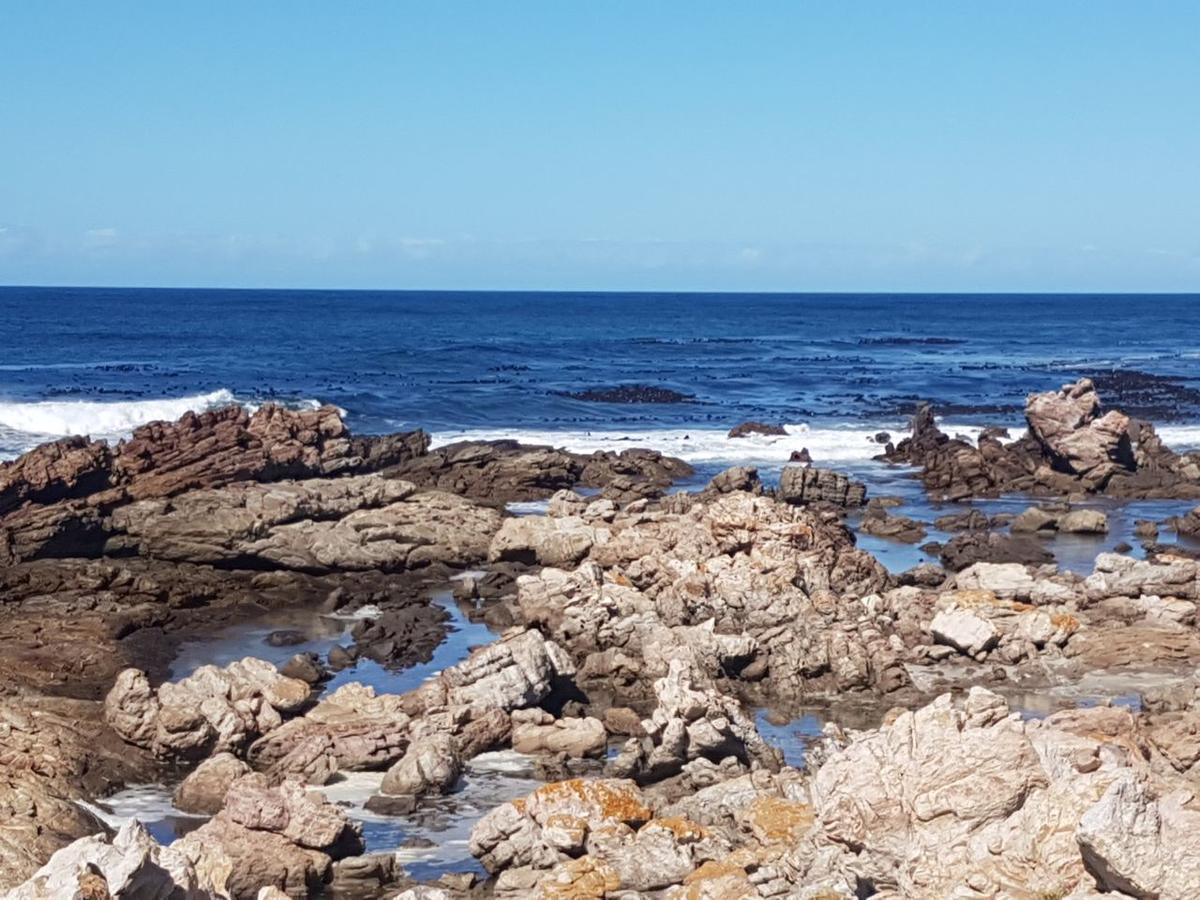 Corban Cottage Hermanus Buitenkant foto